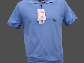 Lacoste foto 7