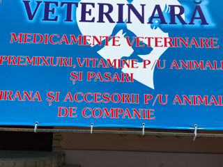 Farmacie veterinară Peresecina, Orhei foto 3