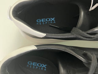 Geox foto 4