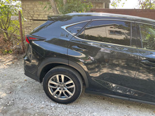 Lexus NX Series foto 10