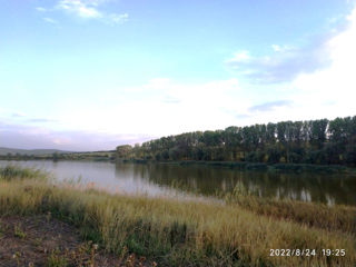 Lac foto 3