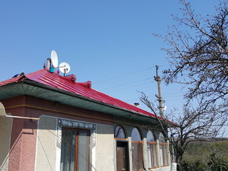 Vopsirea acoperișului foto 7