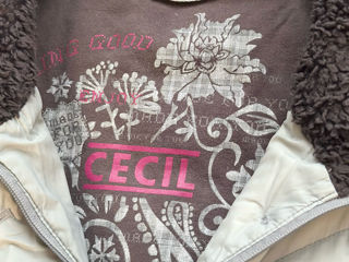 Cecil, Madzerini, H&M, Ralph Lauren, Tommy Hilfiger….. foto 5