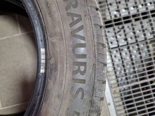 Barum 215/60r17 de vara, anul 2023. foto 8