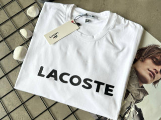 lacoste foto 2