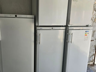 Congelatoare фото 2