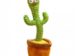 Cactus-Кактус танцует,повторяет,поет.