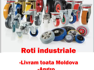 Roti industriale -importator oficial -polonia -angro foto 2