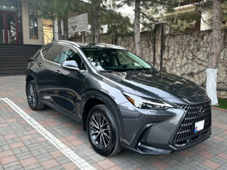 Lexus NX Series foto 1