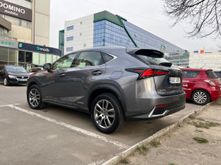 Lexus NX Series