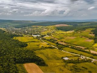 Teren - 70 ari, titlu pentru construcție. foto 4