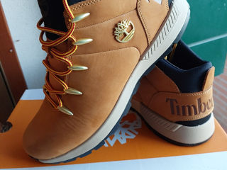 Timberland