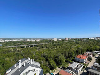 Centru linga Kaufland Mall foto 2