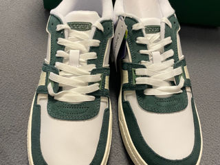 Lacoste Sneakers Mens foto 3