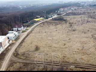 6,6 ari Poiana Domnească cu Certificat de Urbanism foto 5