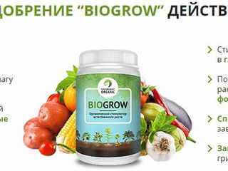 Биоактиватор роста рассады и растений - Biogrow Plus foto 2