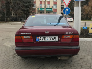 Nissan Primera foto 5