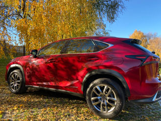 Lexus NX Series foto 6