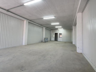 Se da in chirie - Depozit, Producere de orce amanunt.