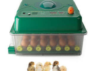 Incubator De Oua Des Champs Eco Profi C-36 - 0b - livrare/achitare in 4rate la 0% / agroteh foto 11