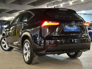 Lexus NX Series foto 5