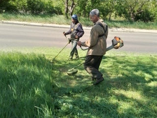 Curățarea gospodărie foto 1