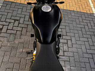 Ducati Monster 797 foto 3