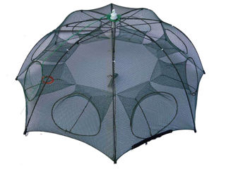 Складная ловушка для зонта  с 6  8 10 12 16 отверстиями рыболовного краба крабов креветок foto 10