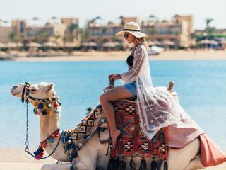 Египет - Хургада в июля, отель - "Desert Rose 5 * " от " Emirat Travel " foto 2