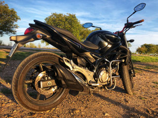 Suzuki SVF650