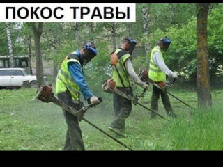 Мы поможем вам убрать участок foto 2