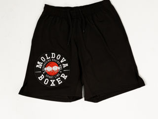 Sorti + Tricou Boxer pentru copii (kickboxing,mma,box)// Marime 5-7 ani , 7-9 ani , 9-11 ani , 11-13 foto 10