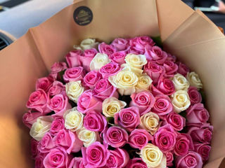 Trandafiri 60cm, 70cm, 80cm, 100cm ! Oferte promotionale!! foto 10