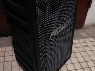 Peavey stadia II b Pasive