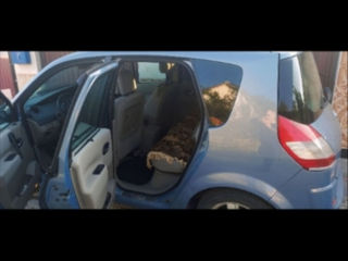 Renault Scenic foto 5