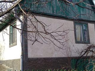 Vind casa фото 0
