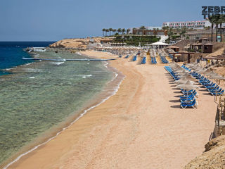 Egipt, Sharm El Sheikh - Sultan Gardens Resort 5* foto 5