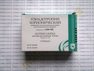 Гонадотропин (Gonadotropin) хорионический (Прегнил,Pregnil) 500, 1000, 1500 и 5000 ME. Доставка. foto 2