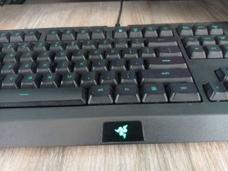 Vand tastatura "Razer Cynosa Lite" Продаю клавиатуру "Razer Cynosa Lite" foto 4