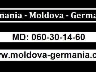 Transport Moldova - Germania, zilnic! foto 10