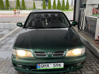 Nissan Primera foto 1