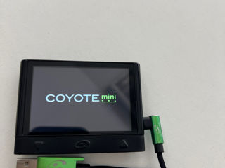 Coyote mini foto 3