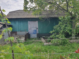 Se vinde casă în satul Natalievca / Продается дом в с. Натальевка (negociabil) foto 4
