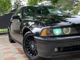 BMW 5 Series foto 2