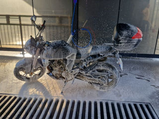 Geon Stinger 250 фото 4