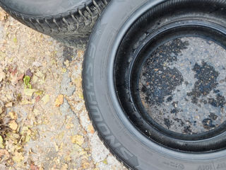 Lassa Snoways3 225/55 R17 foto 4