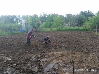 Curatim terenurile, evacuam gunoiul, sapam pamantul Уборка територии, вывоз мусора, копание foto 8