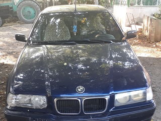 BMW 3 Series foto 6