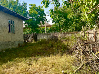 Teren la intrare in lapusna (hîncesti) 40 km de chisinau casa cadou foto 8