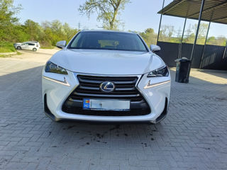 Lexus NX Series